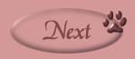 Next Page