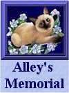 Alley's Memorial Page