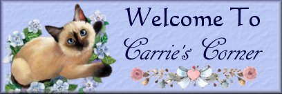 Welcome To Carrie's Corner