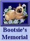 Bootsie's Memorial Page