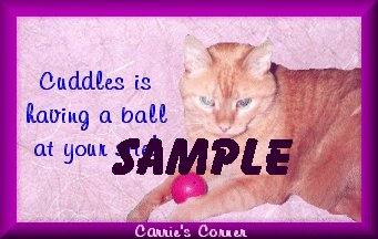 Cuddles Ball Award