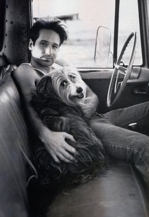 David Duchovny w/ his dog
