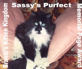 Sassy's Purrfect Memorial Page Award