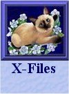 My X-Files Page