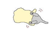 Kitty playing