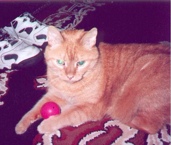 Cuddles with her ball