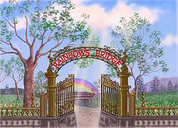 Rainbow's Bridge