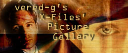 Vered-G's banner