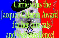 Pam's Award